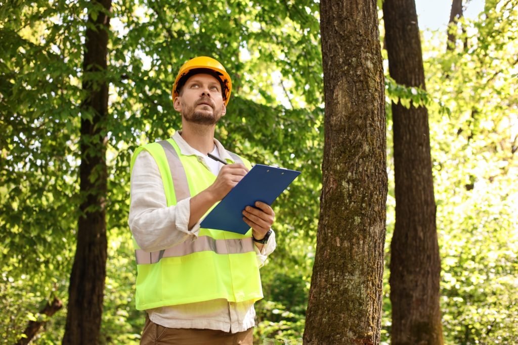 forester in hard hat with clipboard examining plan 2026 07 24 22 23 31 utc Large