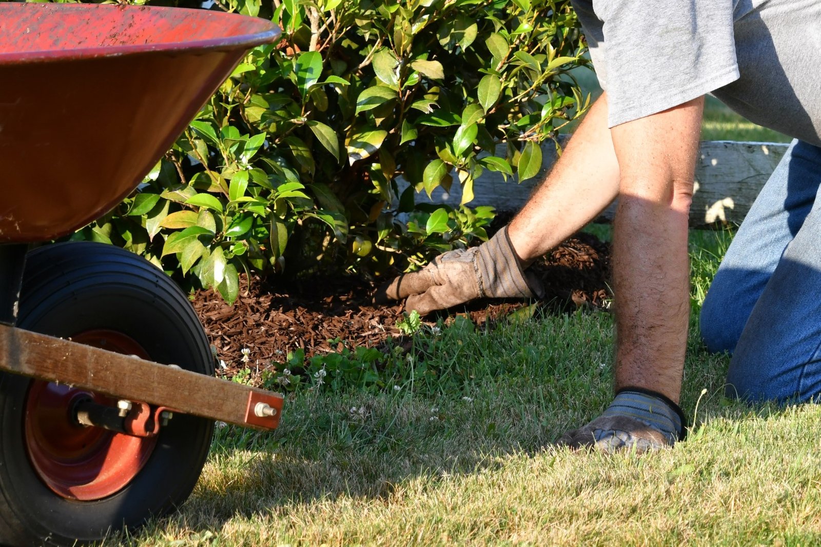 gardener amending soil and planting near garden 2026 03 24 07 07 02 utc Large