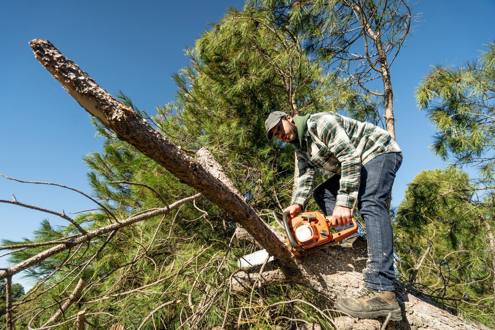 man cutting fallen tree branch with chainsaw 2026 01 05 00 19 17 utc Large