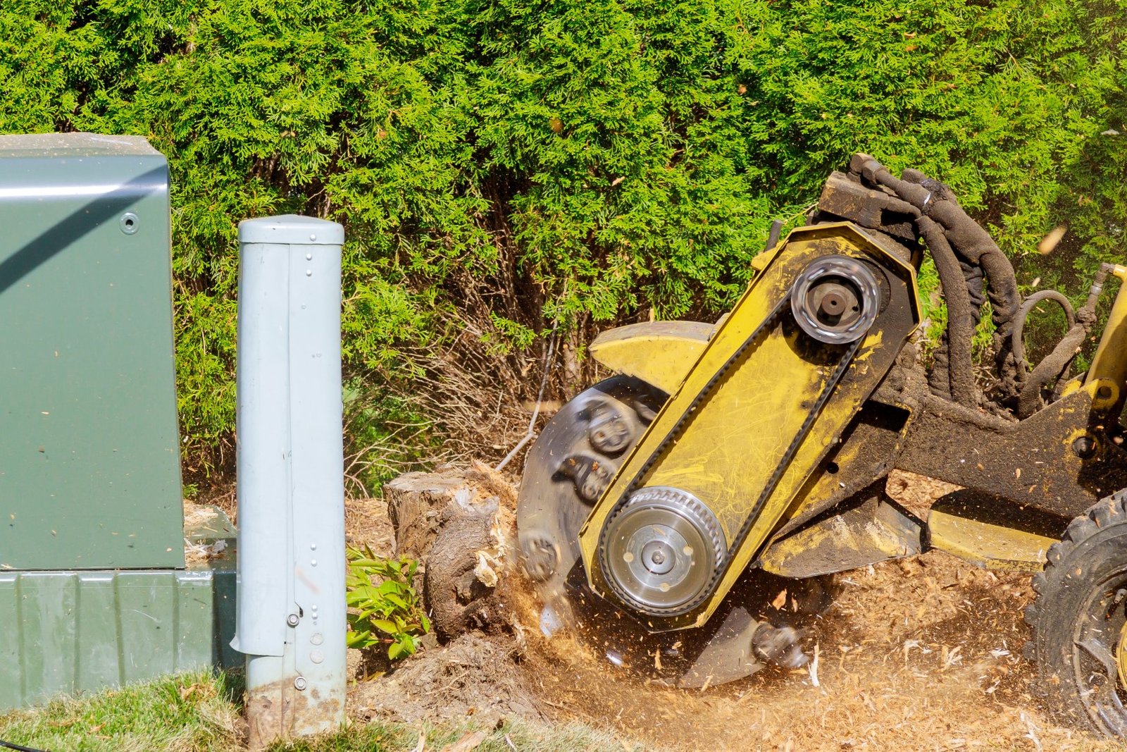 stump grinder removing tree stump in urban area 2026 03 24 23 45 06 utc Large