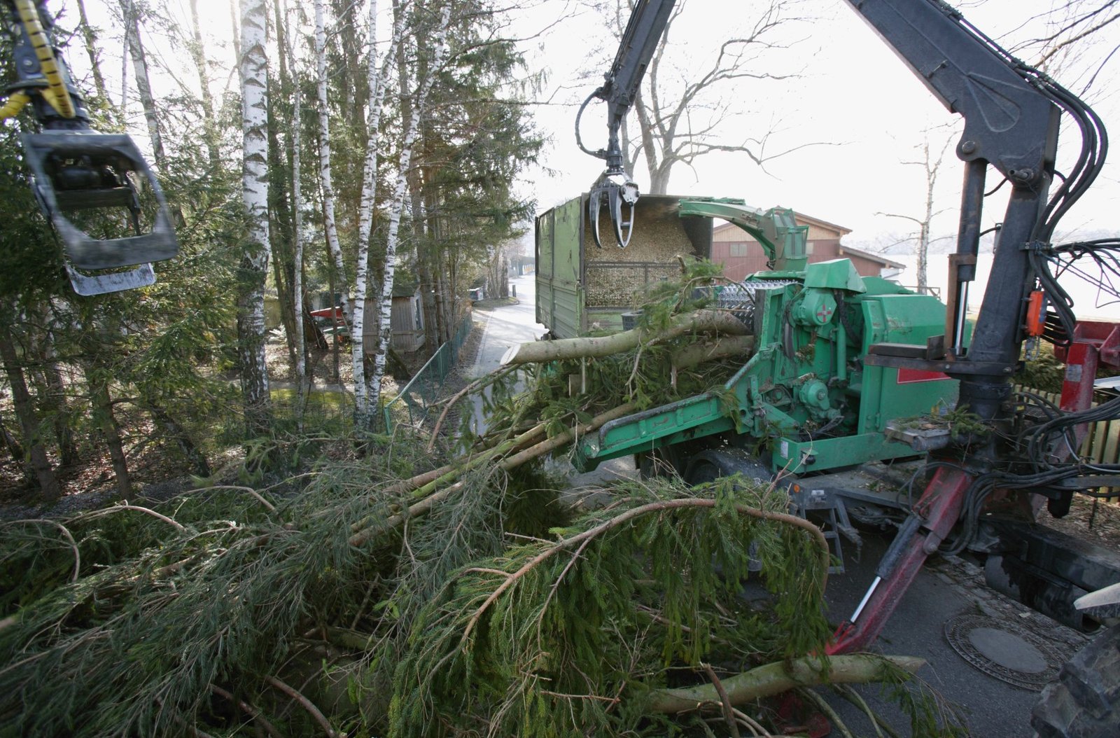 view of machines taking away fallen trees 2026 03 26 08 17 19 utc Large