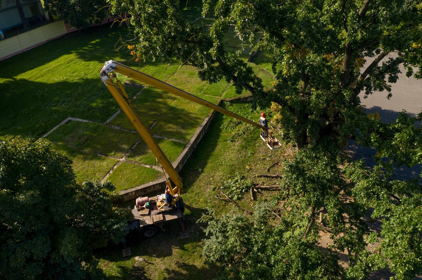 workers on a mobile mechanical car lift cut trees 2026 03 26 07 51 14 utc Large