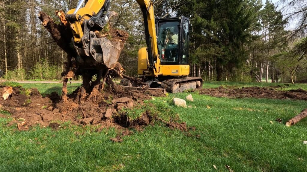 Stump Removal Services
