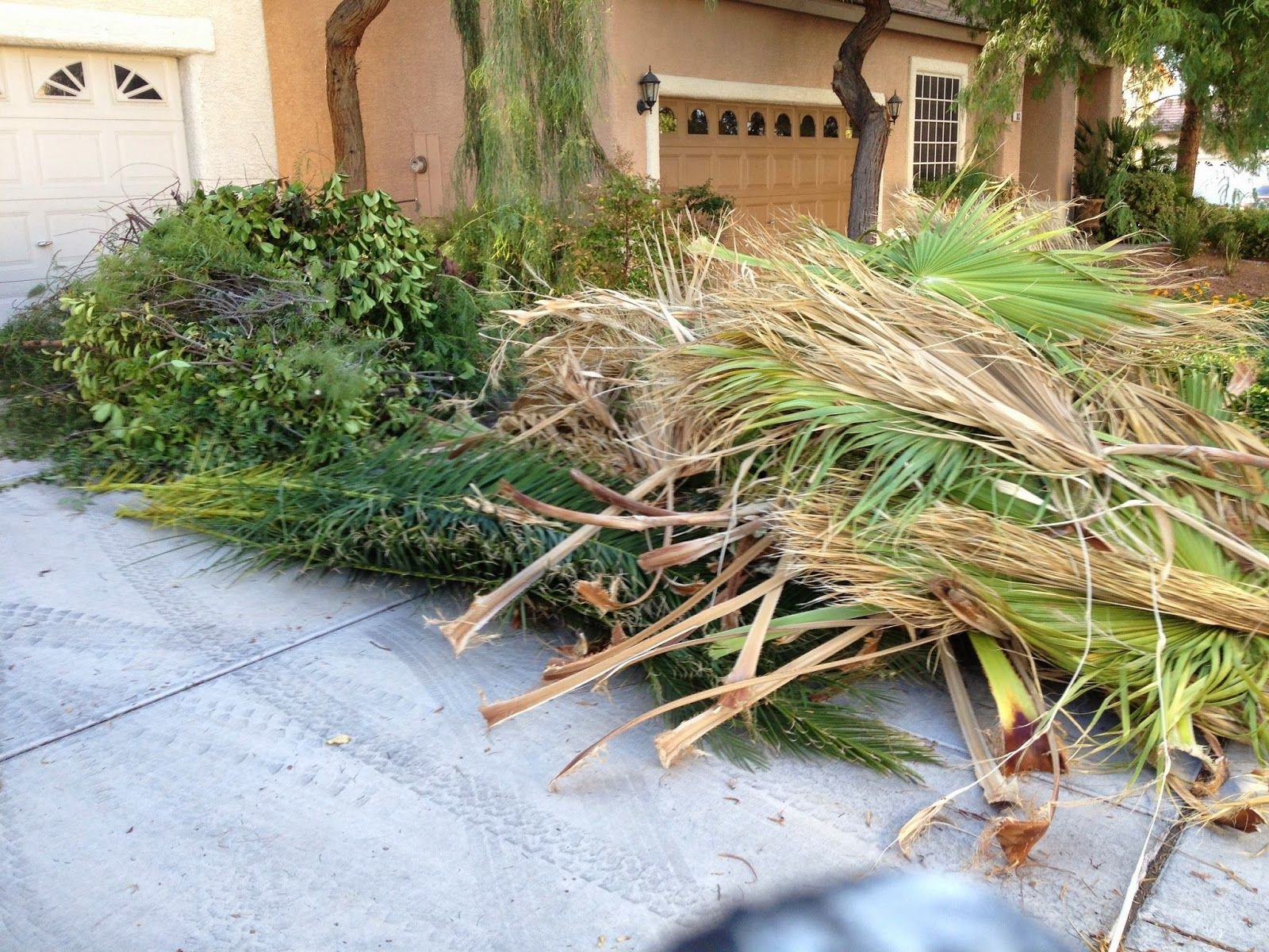 Yard Debris Removal Tips
